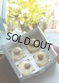 丹波篠山産１００％の「丹波栗のモンブラン」ＢＯＸ（4個入り）